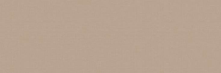Noni banner