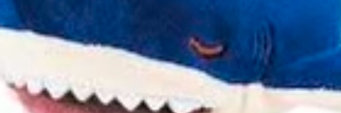 smames2's profile banner image
