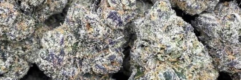 dabestweed's profile banner image
