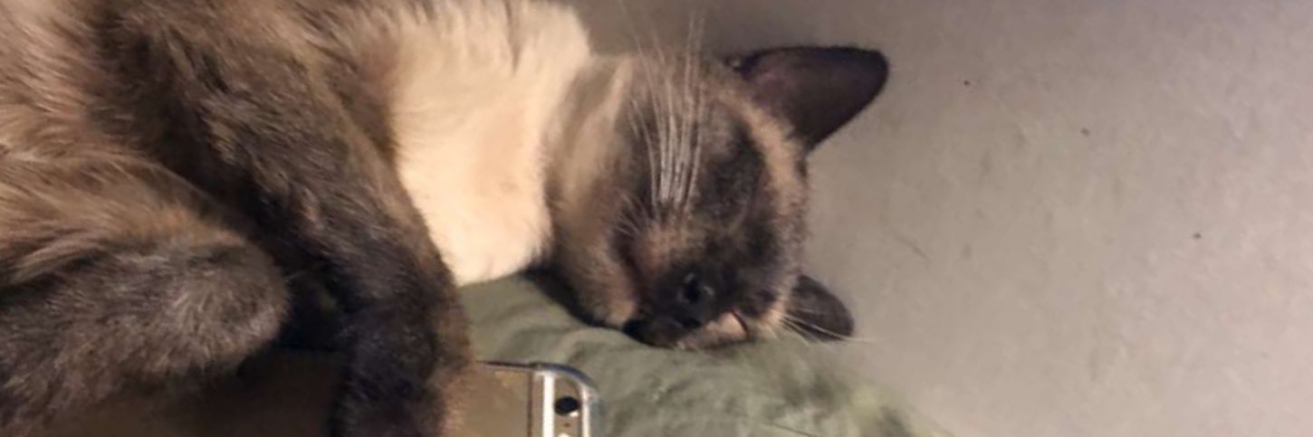 bosslikeanthony's profile banner image
