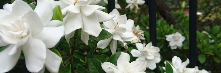 beaconnator's profile banner image