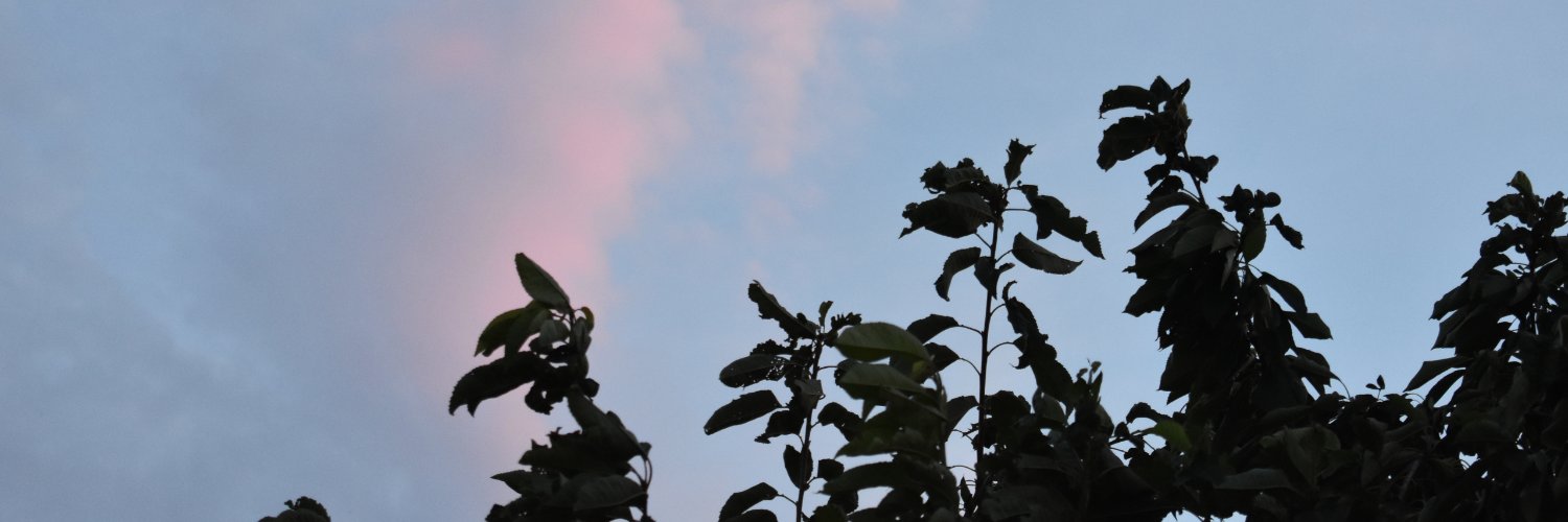 octoberflower k's banner