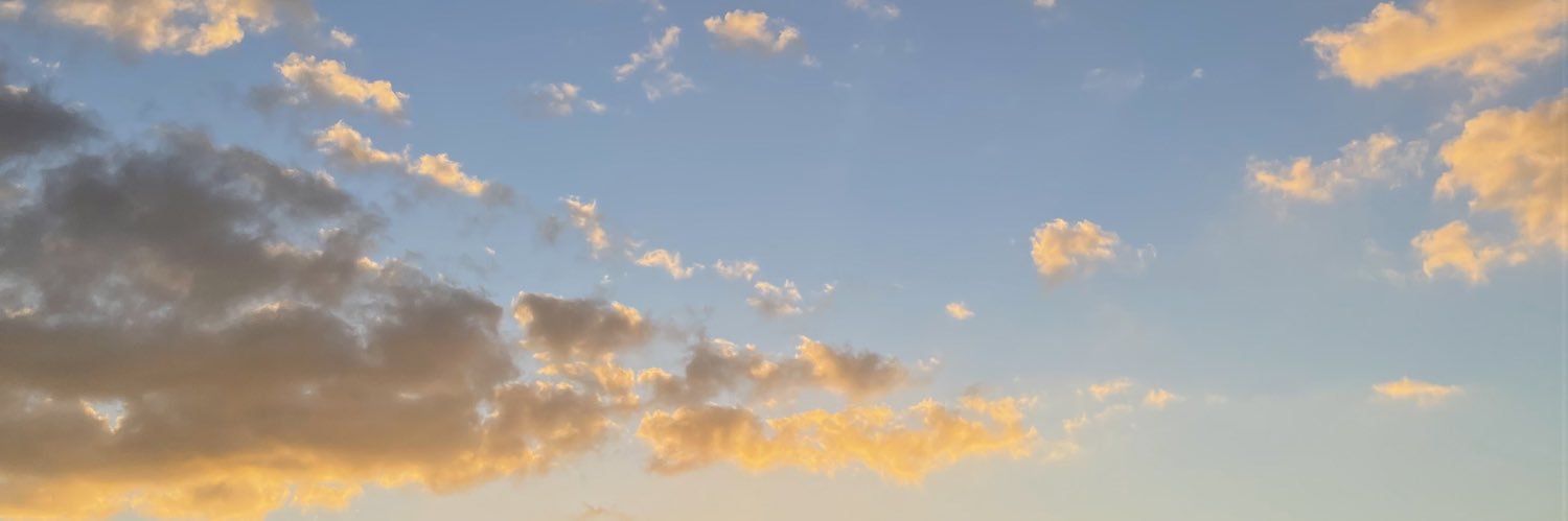 SheltsyM's profile banner image