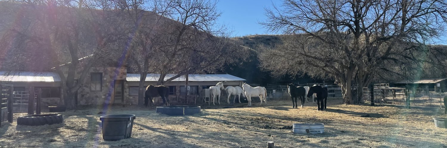 GPercherons's profile banner image