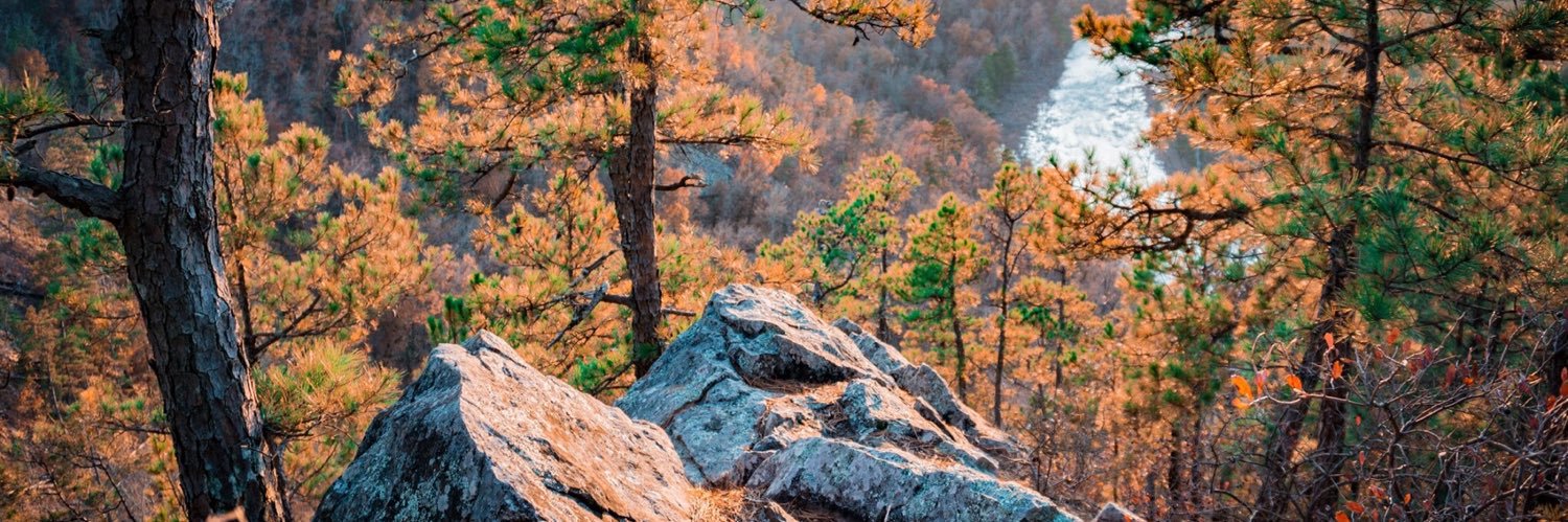kailey_mcgovern's profile banner image