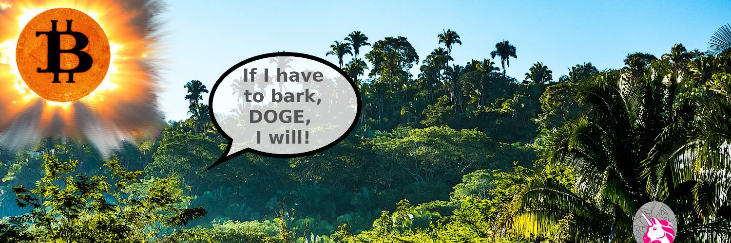 CryptoFond4FUN banner