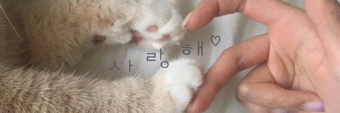 니니 banner