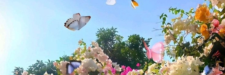 afrah_xcn's profile banner image