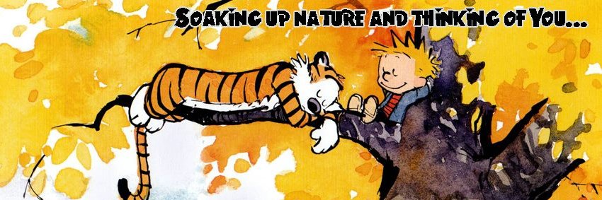 @phanart.bsky.social follow over there it's nice banner