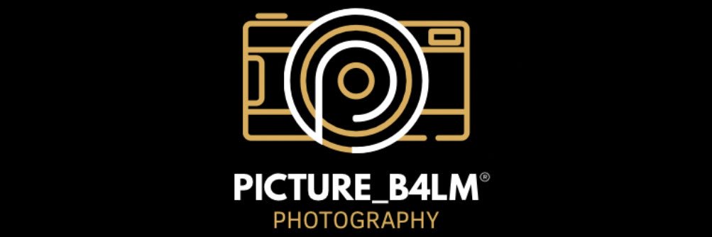 Mohamed Balamane banner