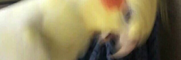 thiohe's profile banner image