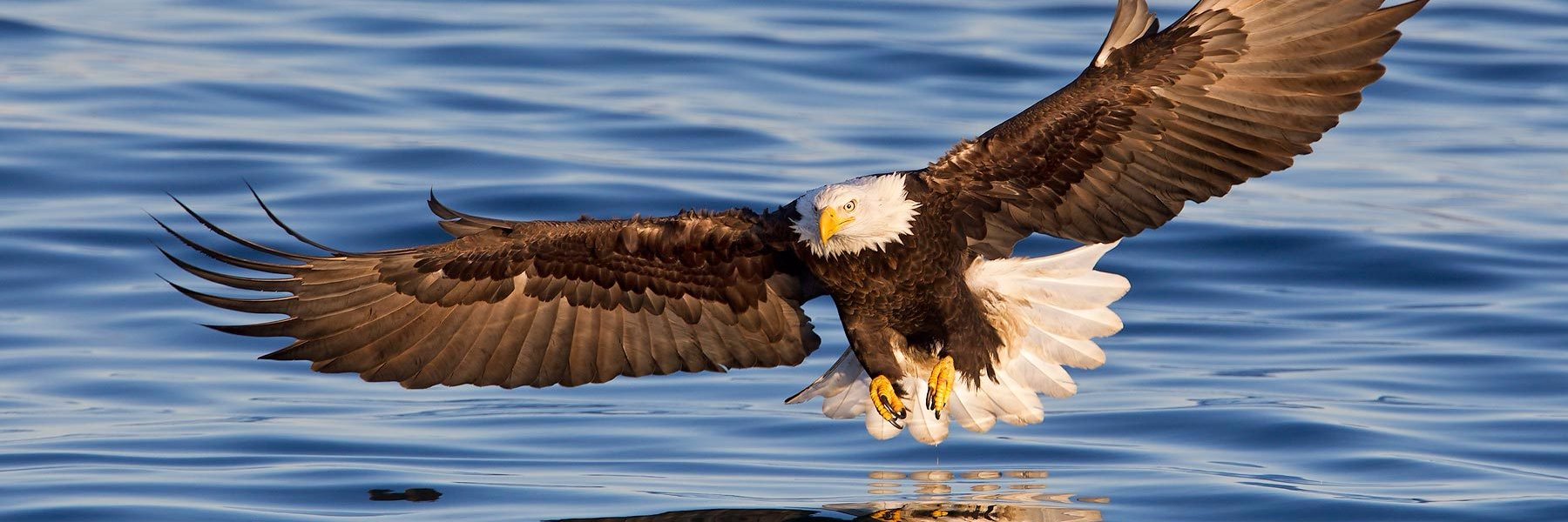 leagle's profile banner image