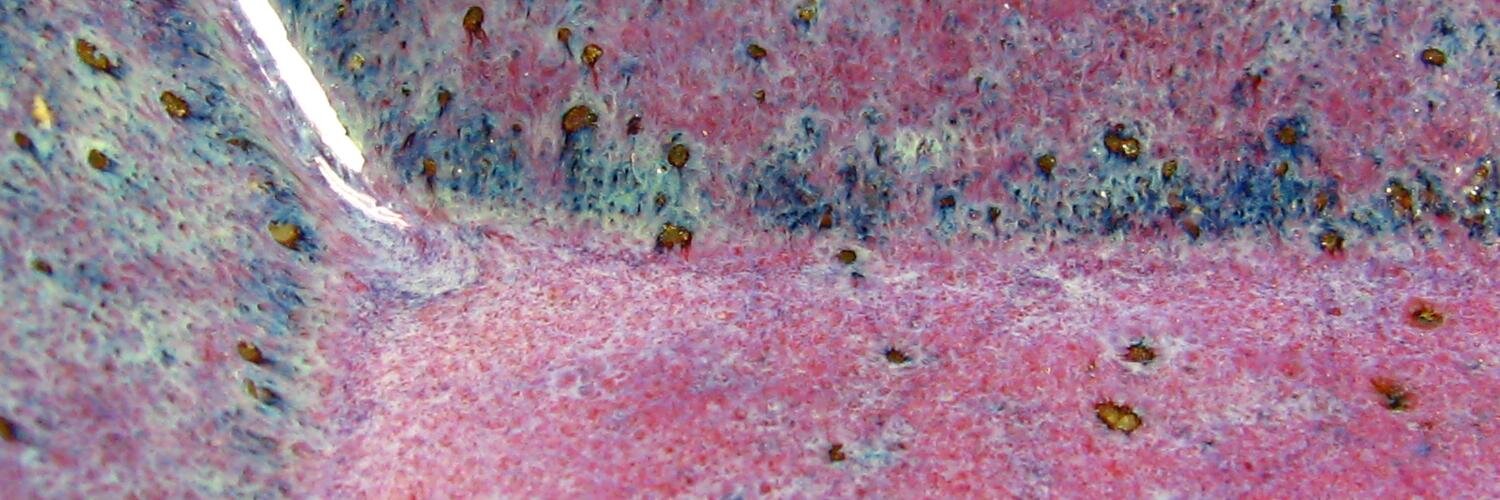 🌞🌈4/18 東本願寺・京都博覧会🌟Mazzy’s clay banner