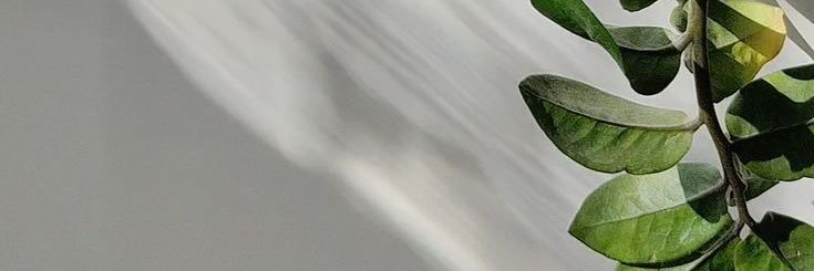 🎈 ܡܓ banner