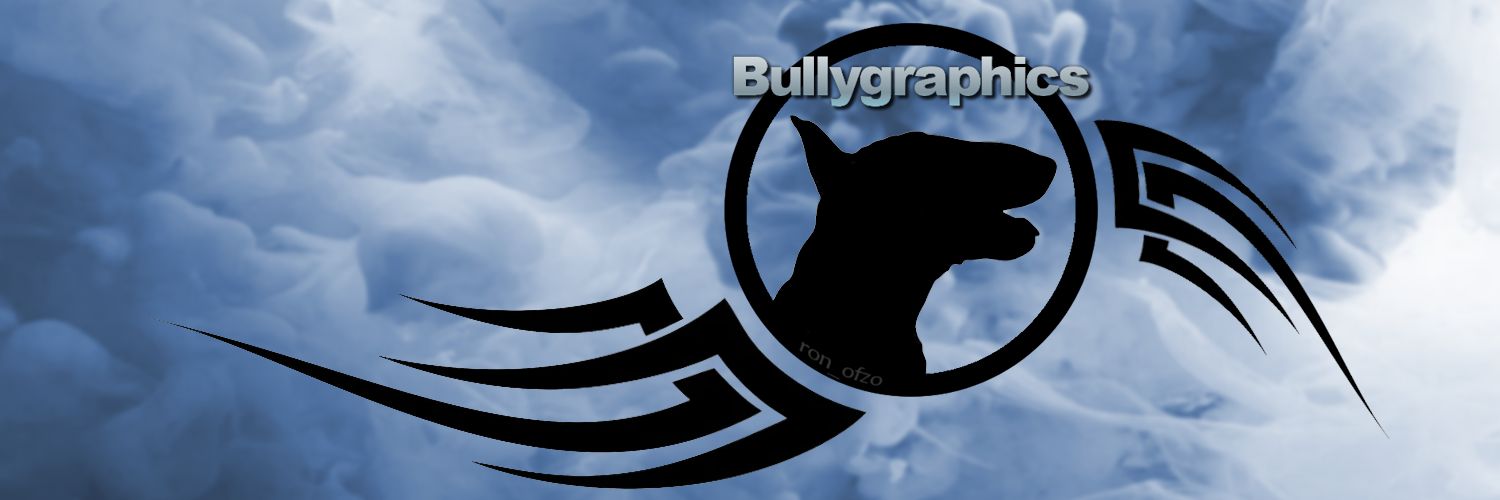 Bullygraphics banner
