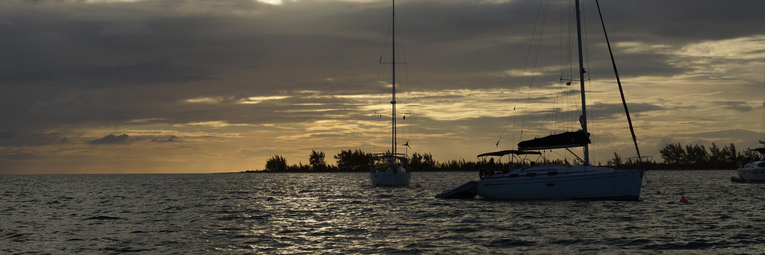 Terence Potter banner