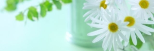 handmade05241's profile banner image