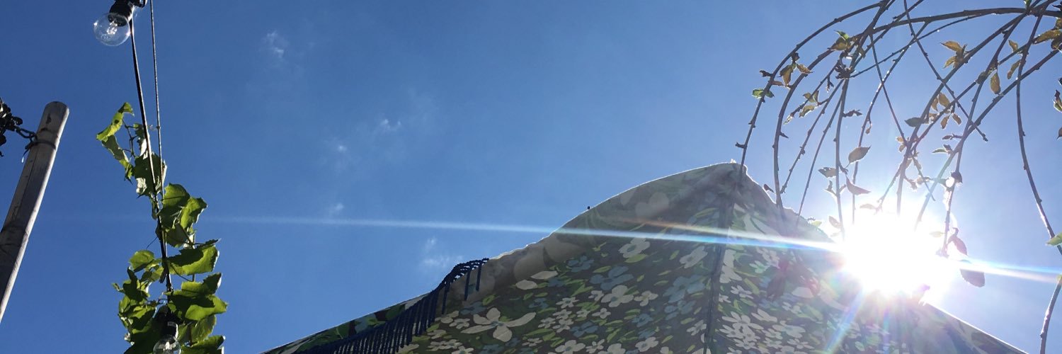 brainlex's profile banner image