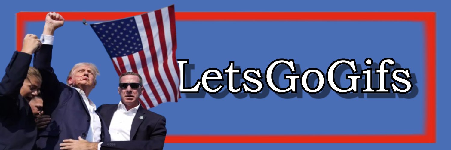LetsGoGifs's banner
