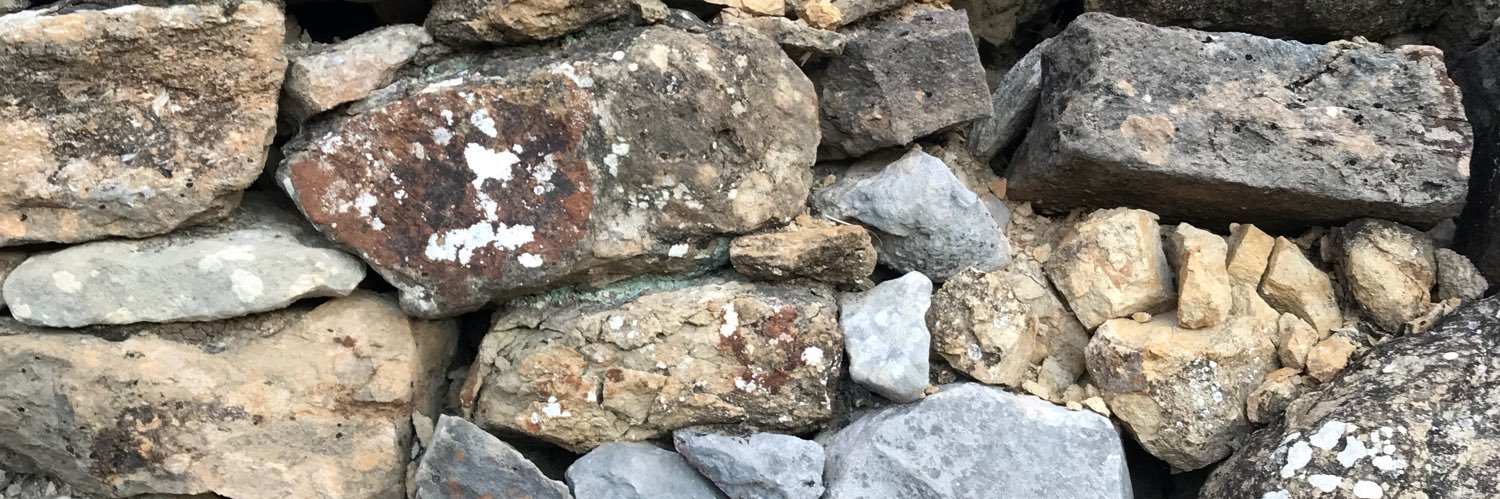 Raquel Valero banner