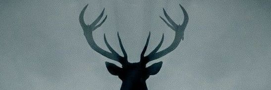 julian 🌻 #sunflowertwt banner