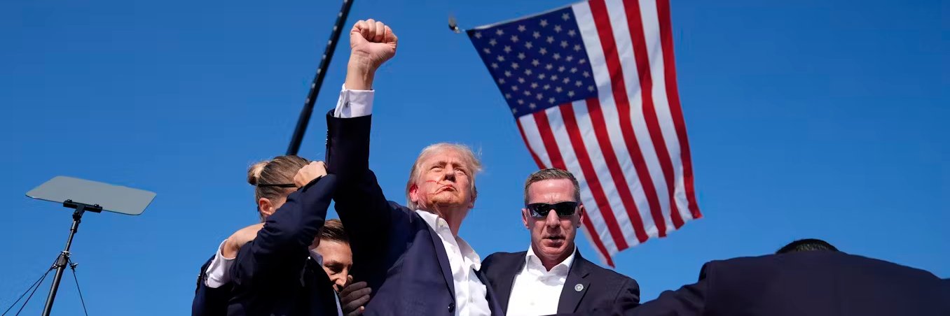 Trumpcat ⚣ 🇺🇸 banner