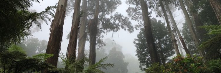 Doctor Fancy Pants of the Secret Legs banner