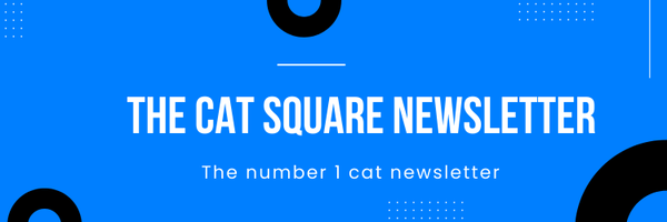 the cat square Profile Banner