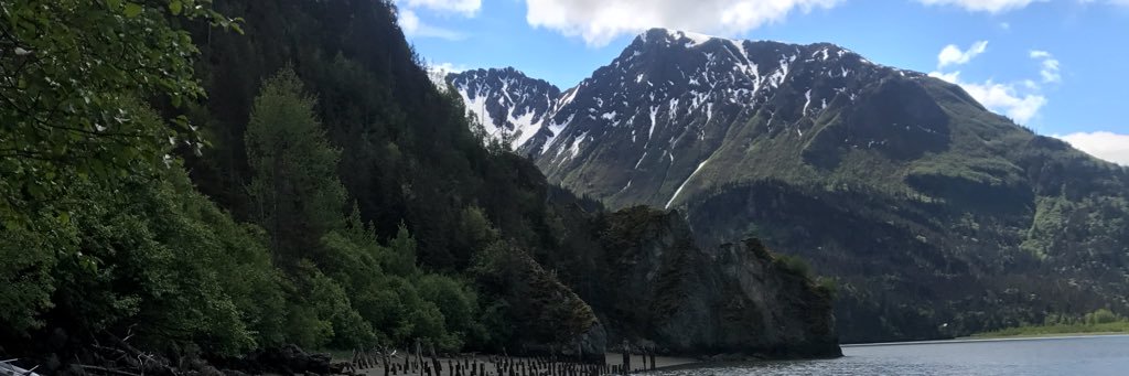 Patrick Connor banner