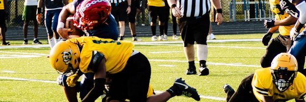 1luhtonee Profile Banner