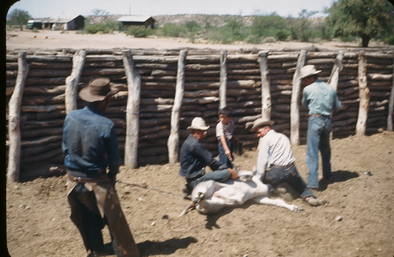 Peter Murrieta banner