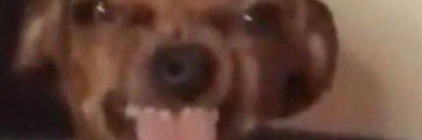 causeReynasaid's profile banner image
