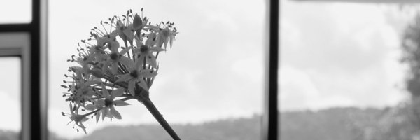 82yn1 Profile Banner