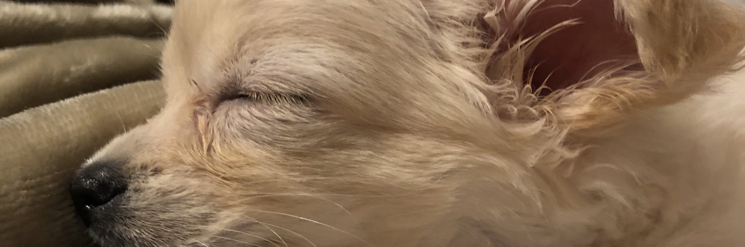 Heather.Ivers banner