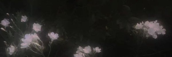 H4trEd_4 Profile Banner