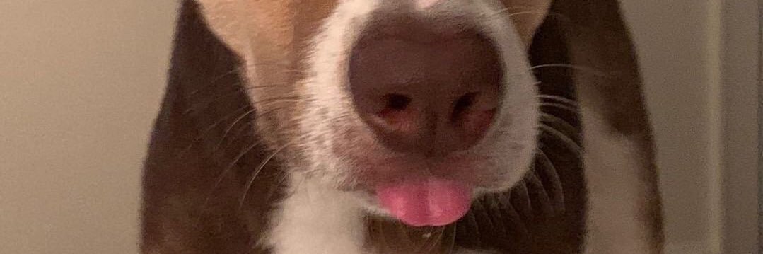 _goeppinger's profile banner image