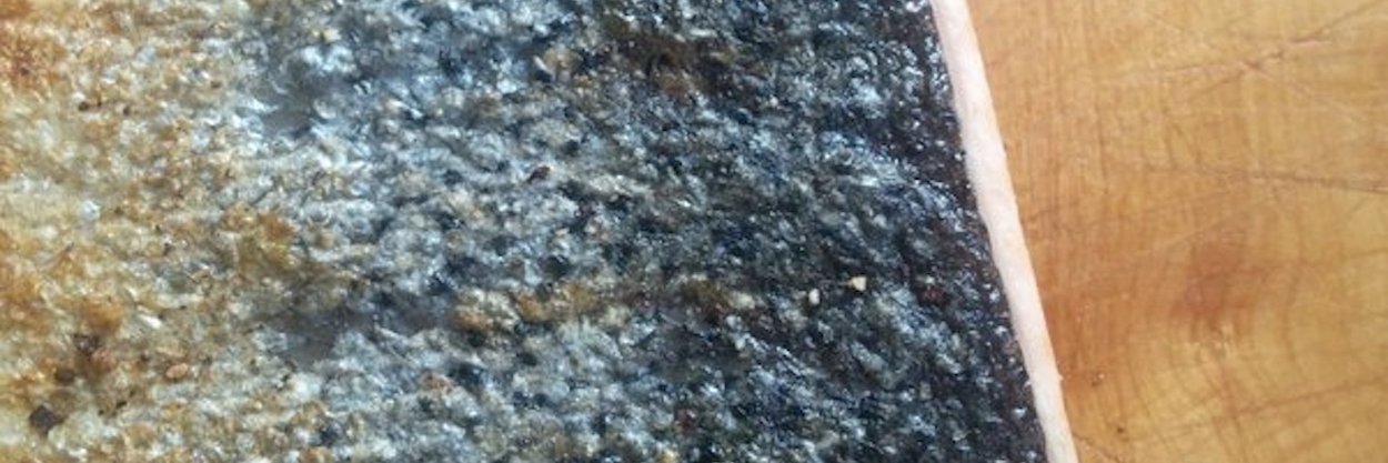 laurimoyle's profile banner image