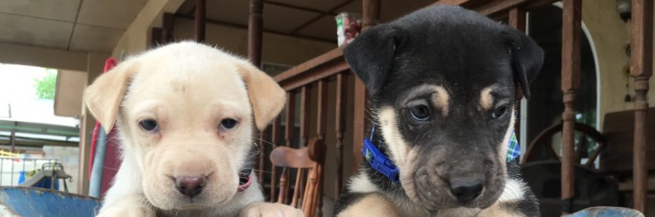 itsnickbeanss's profile banner image