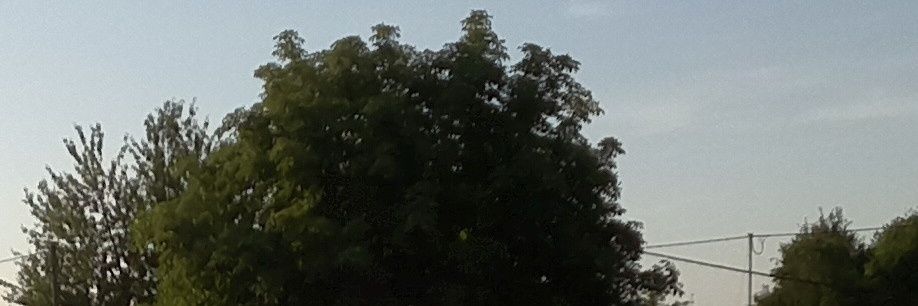 real_Freiherr's profile banner image
