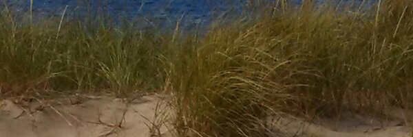 CherylHoerr Profile Banner