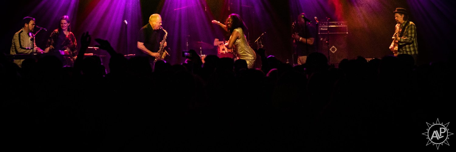 Shauna Anderson banner