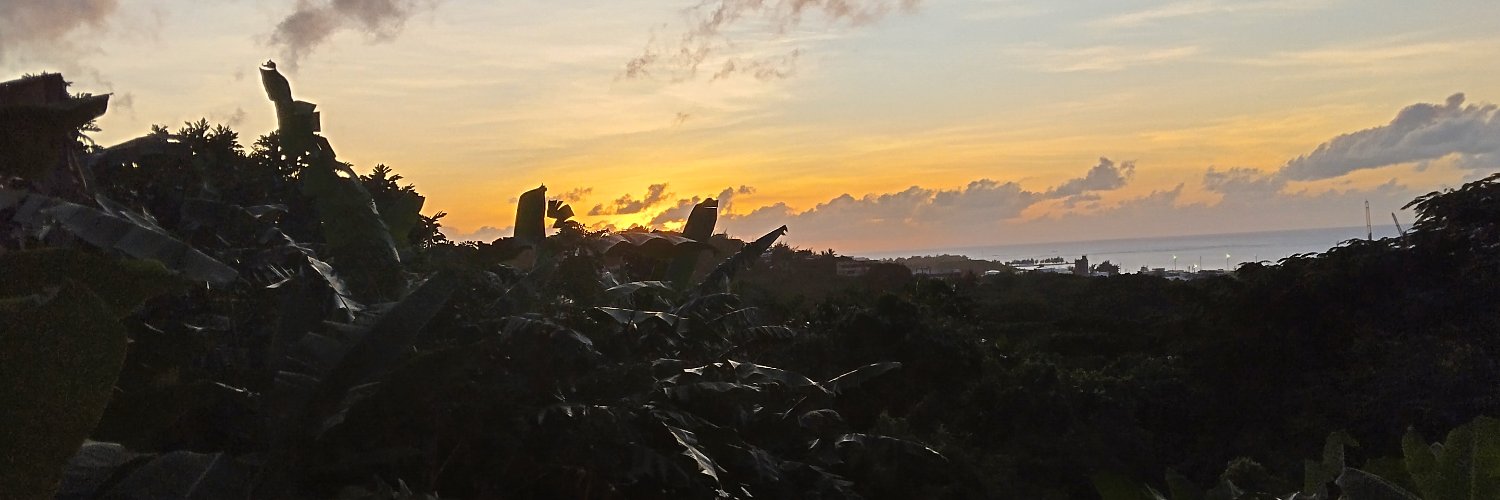 Redford Husky banner
