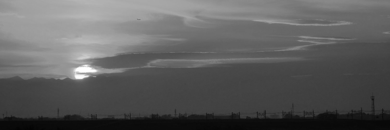 日本産アリ類観察録 banner