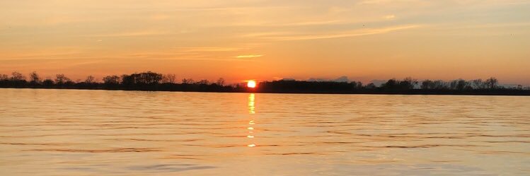 Hunter Payment banner