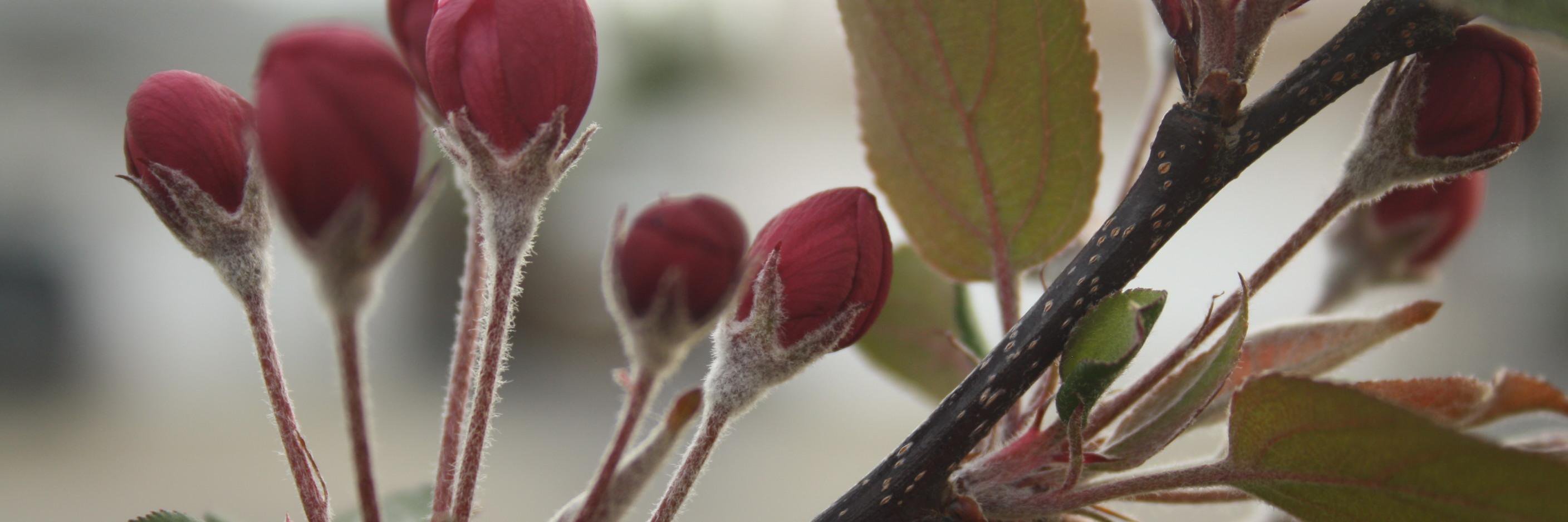 Ryon M Bateman banner