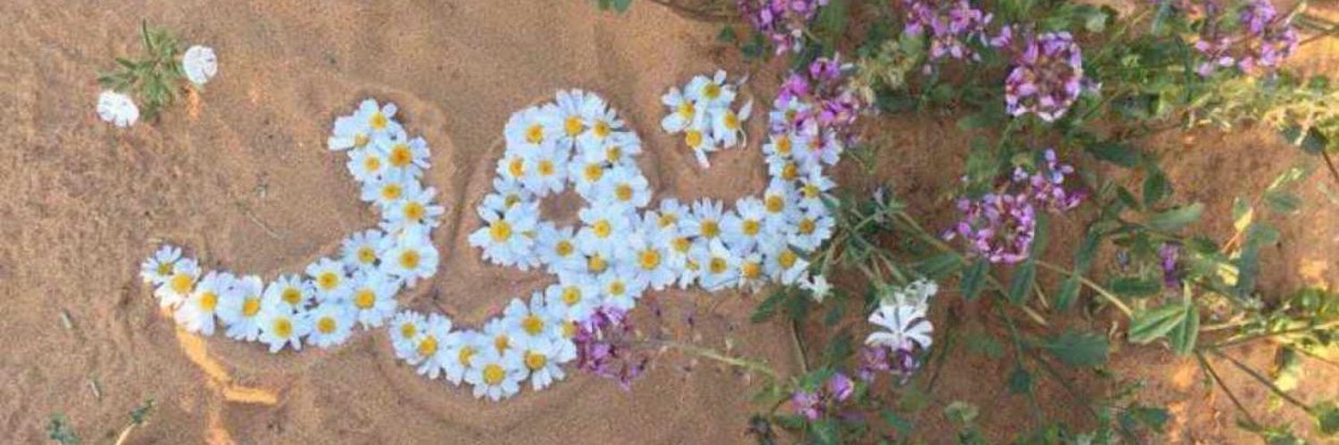 Nower_33's profile banner image