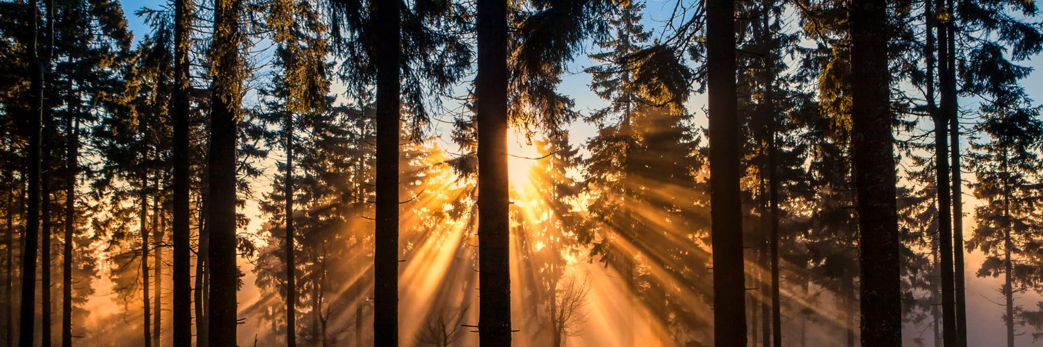 Dog face pony soldier banner