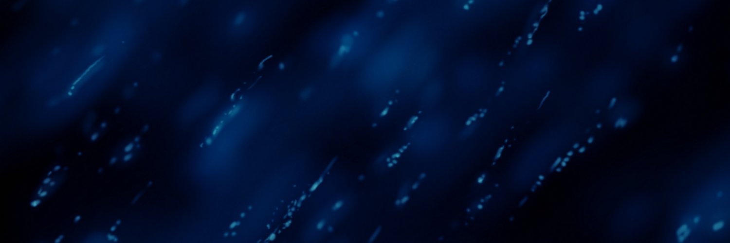 Ivo D'art's banner