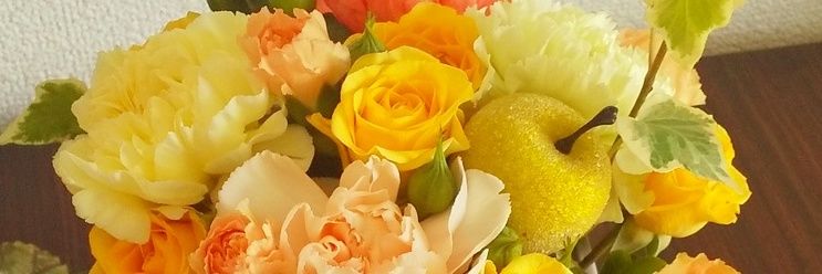 うさもち's banner
