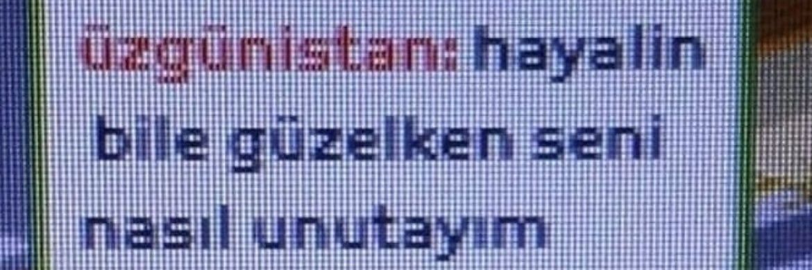 TheRisk falan banner